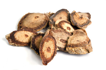 Butea superba Roxb or red Kwao Krua tuber root isolated on white