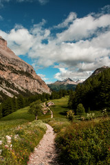 Track to the paradise