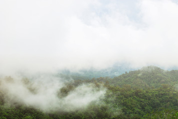 Mountains with trees and fog in Thailand