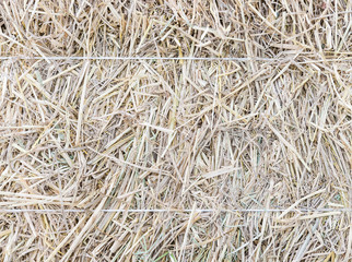The texture of haystack with white rope.