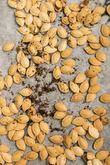 spicy hokkaido pumpkin seed on white kitchen paper