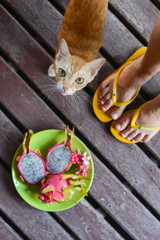 Dragon fruit on old wood background cat and legs