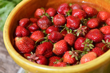 organic strawberries in a bucket