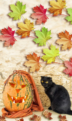 Card Halloween. Black cat and orange pumpkin.
