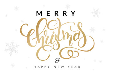 vector illustration of hand drawn lettering - Merry Christmas and happy new year - with snowflakes on the background - 123248872