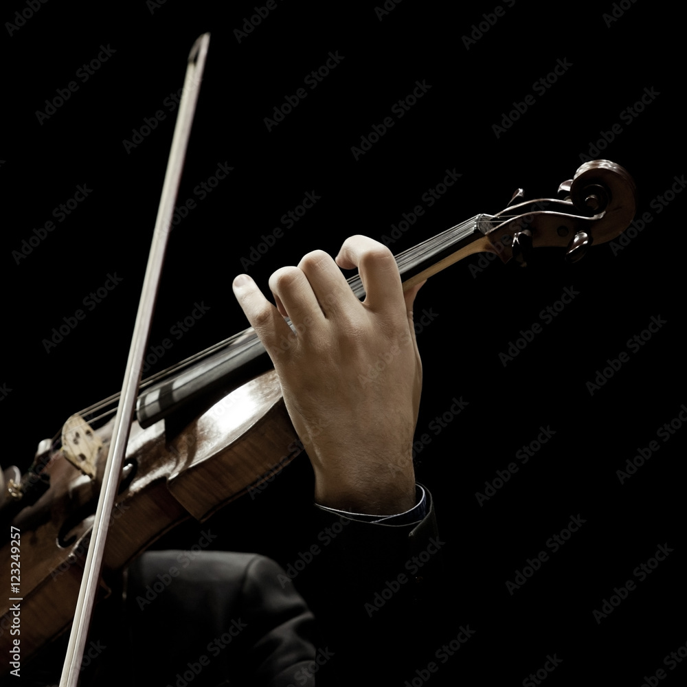 Wall mural  The violin in the hands of a musician closeup on a black background