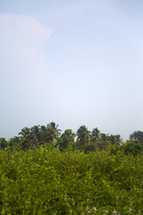 Obraz premium Agonda, India