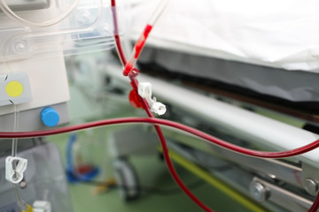 Tubes filled with blood for transfusion