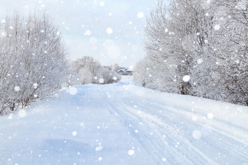 Snowy road. Winter snowfall. Trees in the snow.
