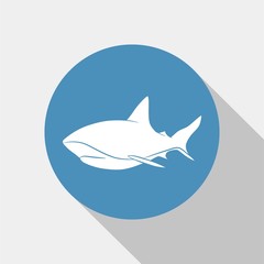 shark icon vector