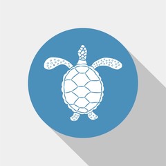 Obraz premium sea turtle icon vector