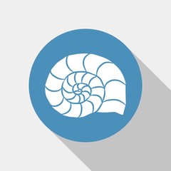 shell icon vector