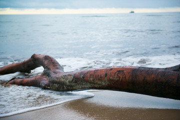 Obraz premium Zingst Weststrand