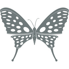 Butterfly icon. Black silhouette of butterfly on white background