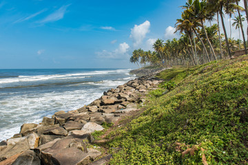 Coconut palms on  a rock strewn beach pounded by rough waves