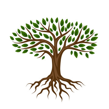 Abstract stylized tree with roots and leaves. Natural illustration