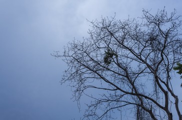 beautiful fresh air river  nature, travel in Khiriwong village 