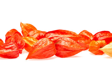 Orange Lampionblumen (Physalis)