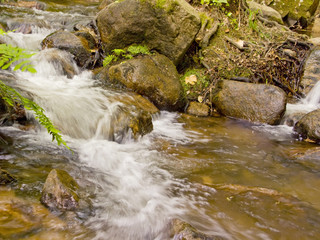Waterfall in the forest