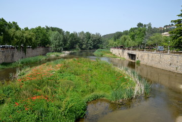 The riverside of Ter, Girona, Spain