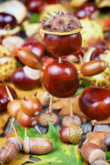 Small creatures made of chestnuts and acorns