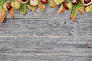 Leaves and seeds of chestnut on wooden background
