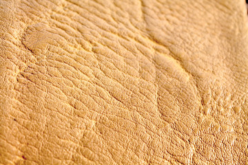 Eco leather yellow texture