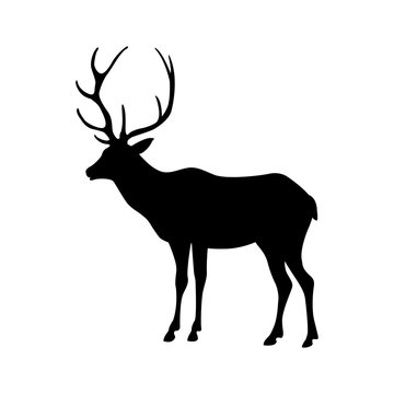 deer vector illustration silhouette black