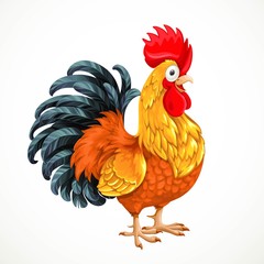 Cute vector cartoon Rooster  isolated on white background