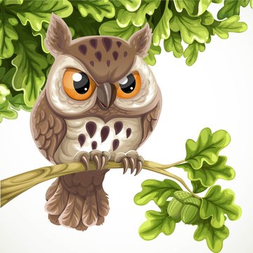 Owl Cartoon Images – Browse 124,173 Stock Photos, Vectors, and Video |  Adobe Stock