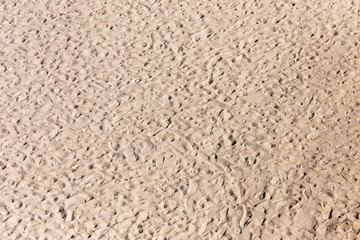 the sand on the beach as background