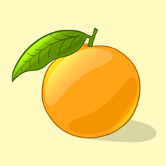 Orange in cartoon style. Vector illustration