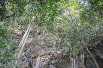 Business student. blur blurred abstract  Business student educator