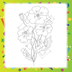 Poppy flower hand drawn vector