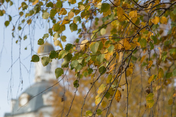 Autumn background - yellow dry leaves on the background of the old Church.