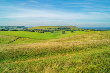 The Sussex Downs in Autumn