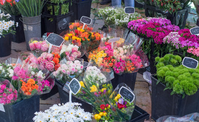 On flower market in Aix-an-Provence, France