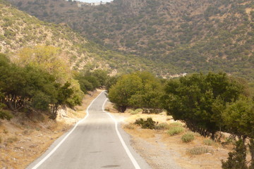 The road in the valley of olive groves