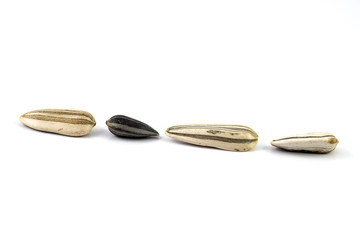 Close up of black sunflower seeds. sunflower (Helianthus annuus) seeds, isolated on white.