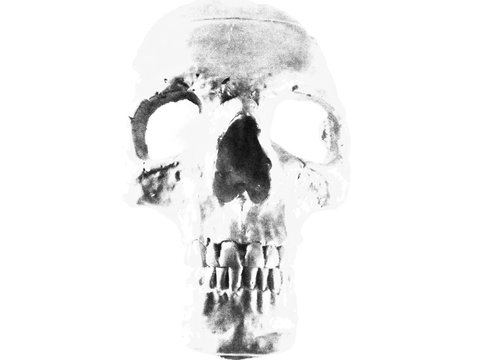 skull faded