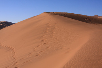 Fototapeta na wymiar Sand & Dunes