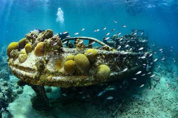 Tugboat shipwreck at Curaçao © puntel
