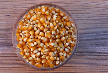 Granos de maíz (Zea mays)