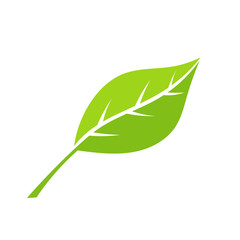 Green eco leaf
