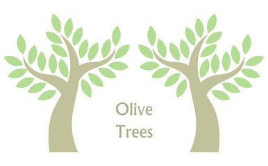 Obraz premium Olive trees vector