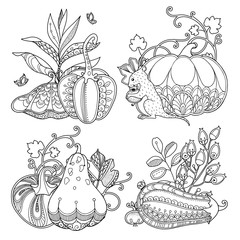Vector set garden composition in doodle style