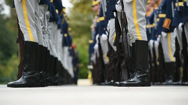 Soldiers in rifle rest position during a military ceremony