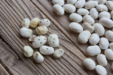 White beans, lots of beans on the wooden table. Wormy beans