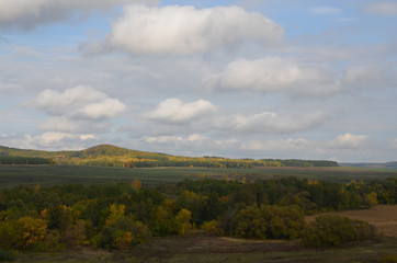 В багрянец осени одетые леса
