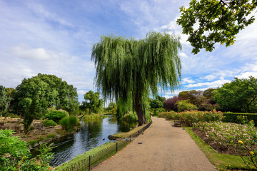 Fototapeta na wymiar Queen Mary's Rose Gardens in Regent's Park, London, UK.